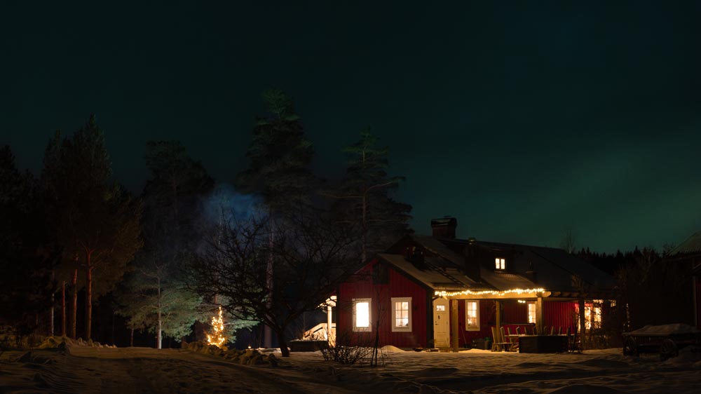 Pukhult i skogen